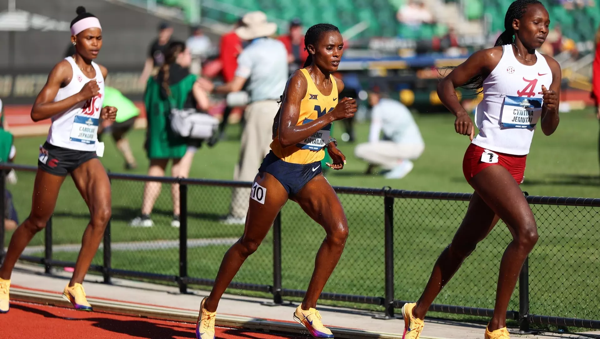 WVU impresses at the 2026 NCAA Outdoor Championships